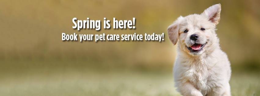 Fetch! Pet Care of N McHenry County