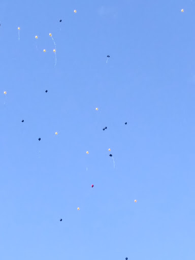 Memorial Park «Harrington Park», reviews and photos, 1815 S Cockrell Hill Rd, Duncanville, TX 75137, USA