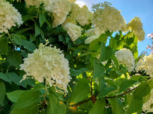 Winery «Seven Springs Winery», reviews and photos, 846 Winery Hills Estates, Linn Creek, MO 65052, USA