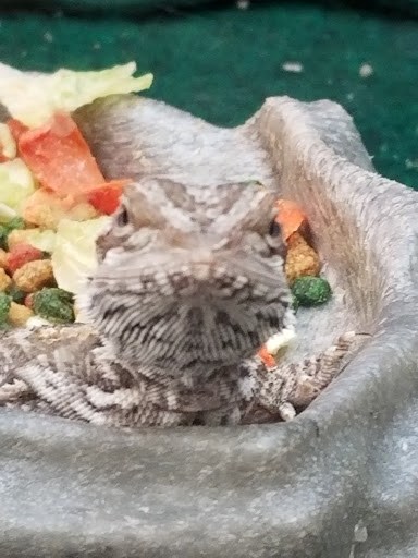 Pet Supply Store «PetSmart», reviews and photos, 157 Levittown Pkwy B, Levittown, PA 19055, USA