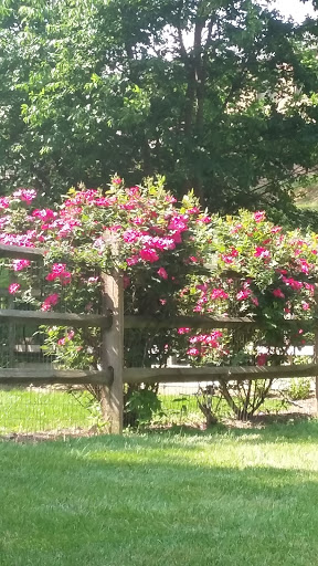 Community Center «Whetstone Community Center», reviews and photos, 19140 Brooke Grove Ct, Montgomery Village, MD 20886, USA