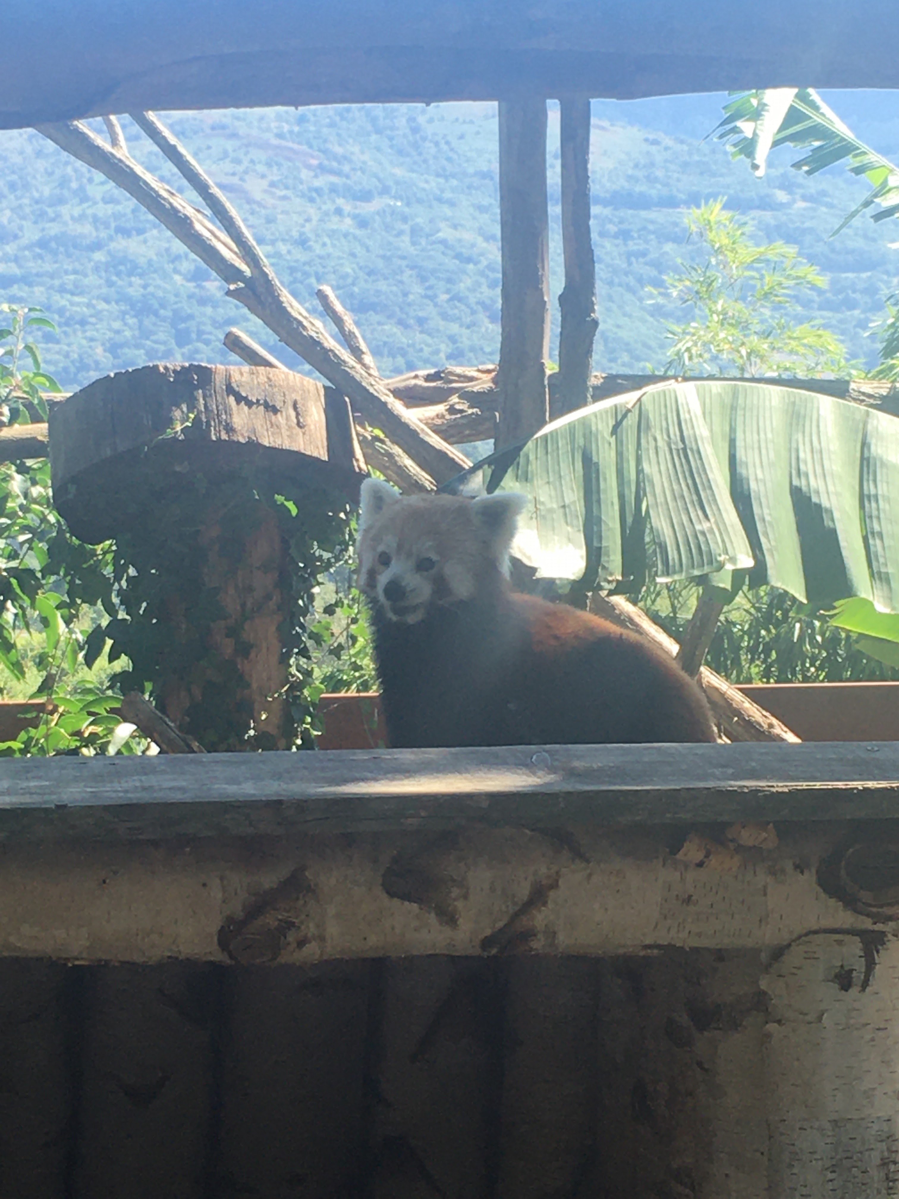 Photo n° 3 de l'avis de Anaelle. fait le 07/09/2022 à 11:30