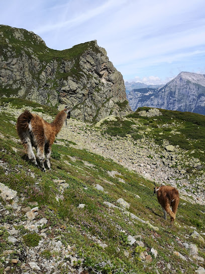 Langchälengrätli