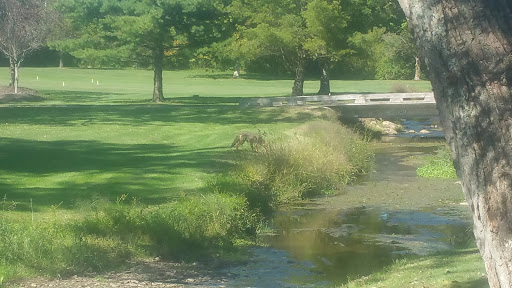 Private Golf Course «Legend Lake Golf Club», reviews and photos, 11135 Auburn Rd, Chardon, OH 44024, USA