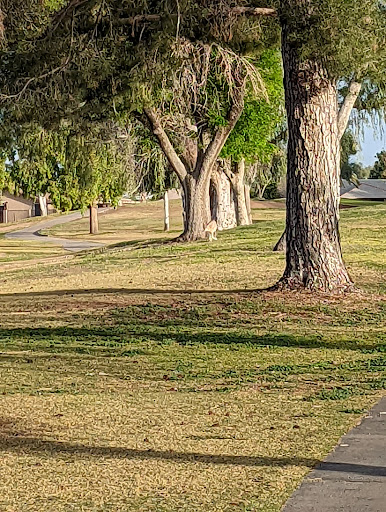 Country Club «Union Hills Country Club», reviews and photos, 9860 W Lindgren Ave, Sun City, AZ 85373, USA