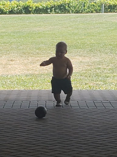 Winery «Big Cork Vineyards», reviews and photos, 4236 Main St, Rohrersville, MD 21779, USA