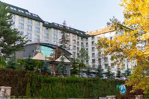 Çam Thermal Resort & Spa Hotel image