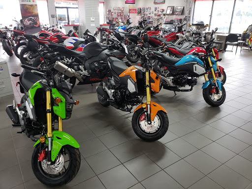 Motorcycle Dealer «Cycles of Jacksonville», reviews and photos, 8209 Atlantic Blvd, Jacksonville, FL 32211, USA