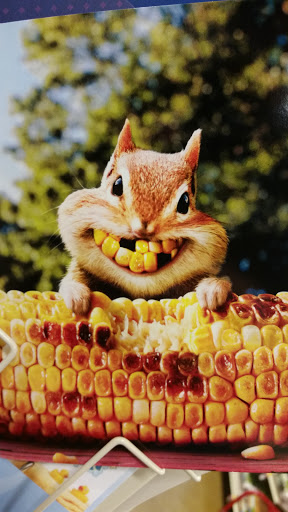 Pet Supply Store «PetSmart», reviews and photos, 4540 Grape Rd, Mishawaka, IN 46545, USA