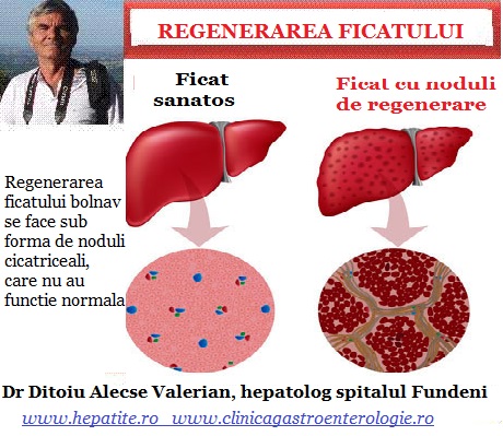Comentarii opinii despre Gastroenterologie si hepatologie Bucuresti in Clinica Sante