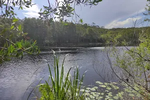 Tyagarah Nature Reserve image