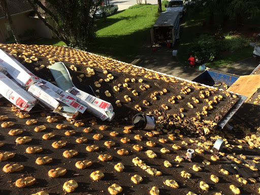 Roofing Contractor «Handyman Roofing», reviews and photos, 11327 43rd St N, Clearwater, FL 33762, USA