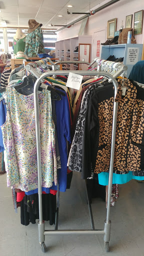 Non-Profit Organization «Youth Alternatives Thrift Shop», reviews and photos, 3103 West Ave, San Antonio, TX 78213, USA