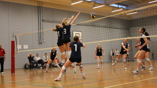 Amager Volleyball Club