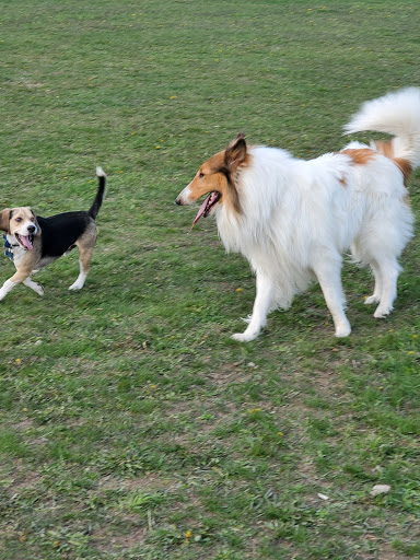 Golf Course «Lyon Oaks Golf Club», reviews and photos, 52251 Pontiac Trail, Wixom, MI 48393, USA