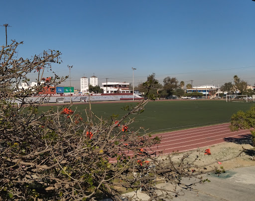Cursos futbol sala Tijuana