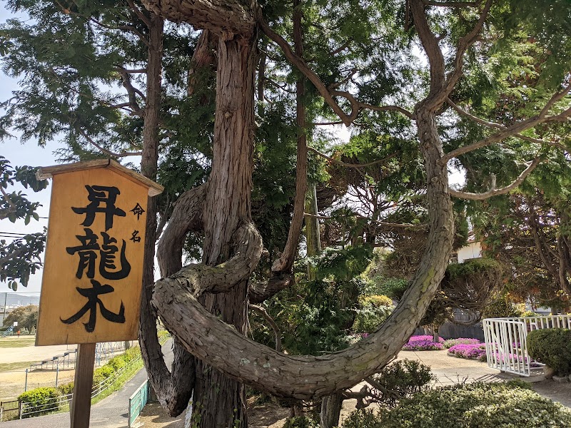 辰尾神社