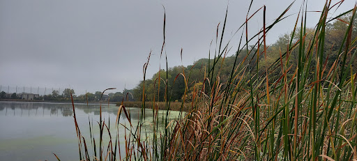 Nature Preserve «Westwood Hills Nature Center», reviews and photos, 8300 W Franklin Ave, St Louis Park, MN 55426, USA