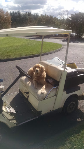 Golf Course «Blackledge Country Club», reviews and photos, 180 West St, Hebron, CT 06248, USA