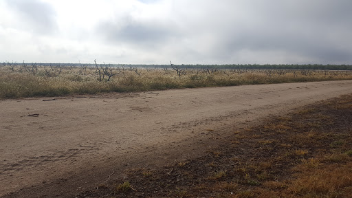 Golf Course «Madera Municipal Golf Course», reviews and photos, 23200 Avenue 17, Madera, CA 93637, USA