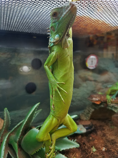 Pet Supply Store «Petco Animal Supplies», reviews and photos, 10464 Baltimore Ave, Beltsville, MD 20705, USA