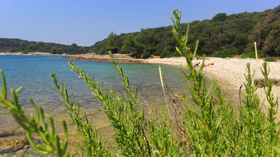 Lost beach
