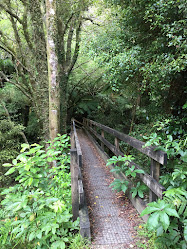 Mangaone Walkway