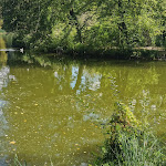 Photo n° 3 de l'avis de Othello92. fait le 08/01/2021 à 18:57 pour Lafayette Escadrille Memorial Cemetery à Marnes-la-Coquette