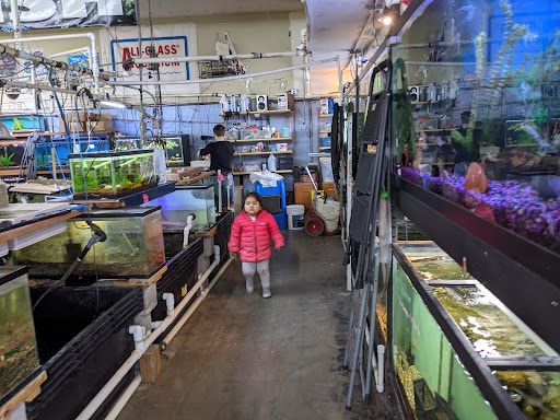 Pet Store «A to Z Pets», reviews and photos, 16010 SE Division St, Portland, OR 97236, USA