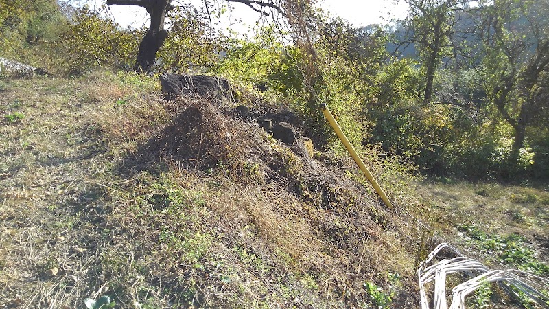 岩下清水古墳群