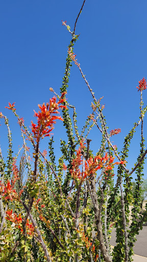National Park «Casa Grande Ruins National Monument», reviews and photos, 1100 W Ruins Dr, Coolidge, AZ 85128, USA