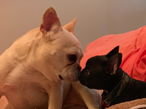 Boutique «Bravo Boutique», reviews and photos, 2840 E Skyline Dr, Tucson, AZ 85718, USA