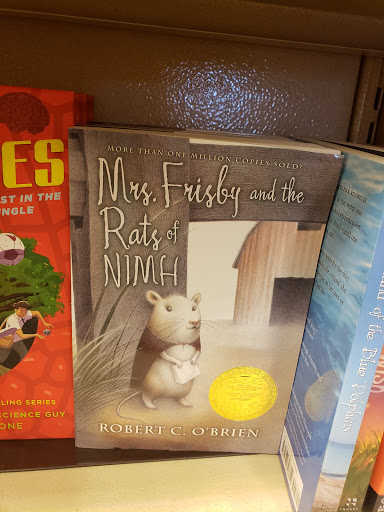 Book Store «Barnes & Noble», reviews and photos, 1091 El Camino Real, Redwood City, CA 94063, USA