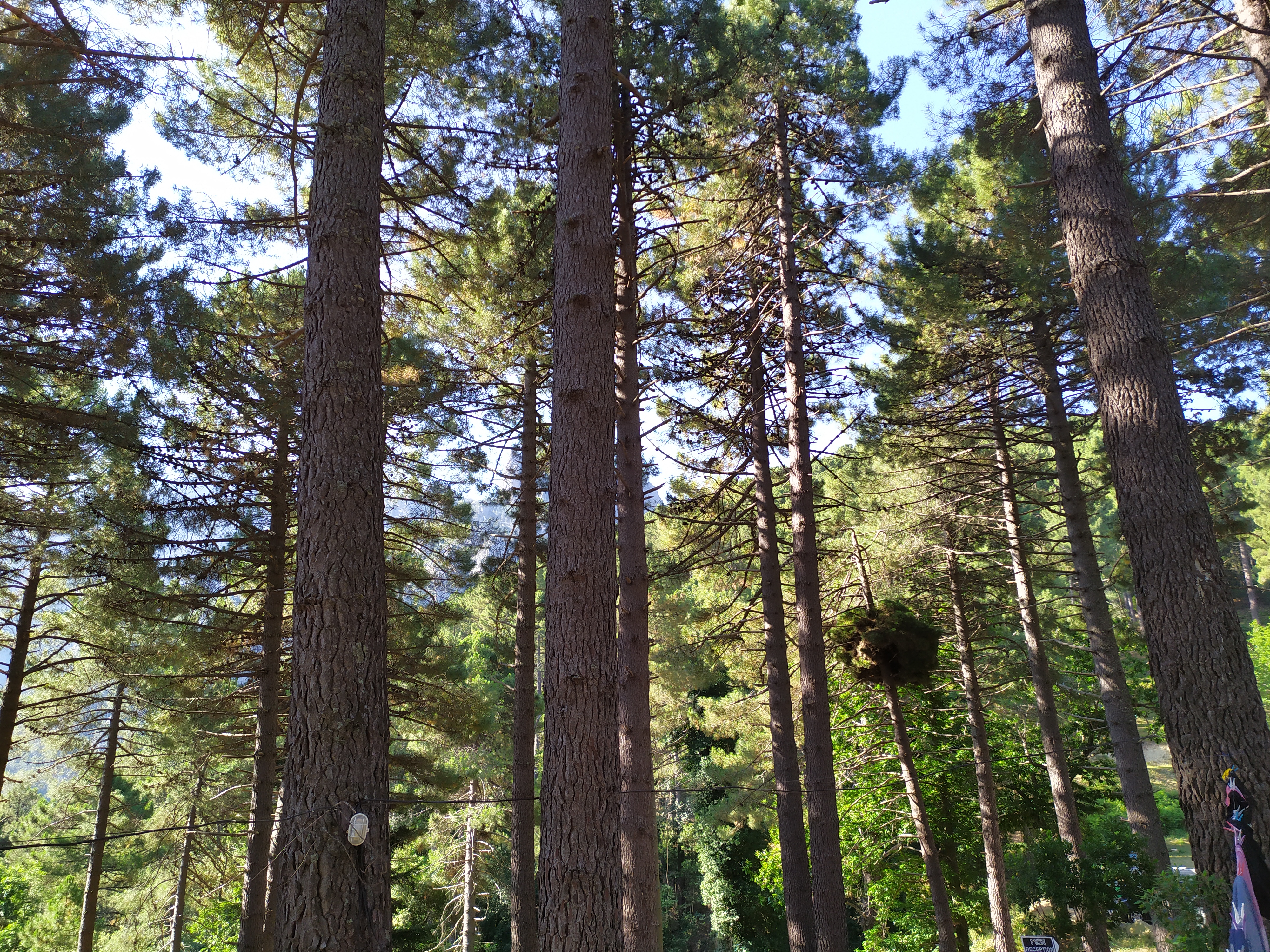 Photo n° 2 de l'avis de catherine.o fait le 20/07/2019 à 19:16