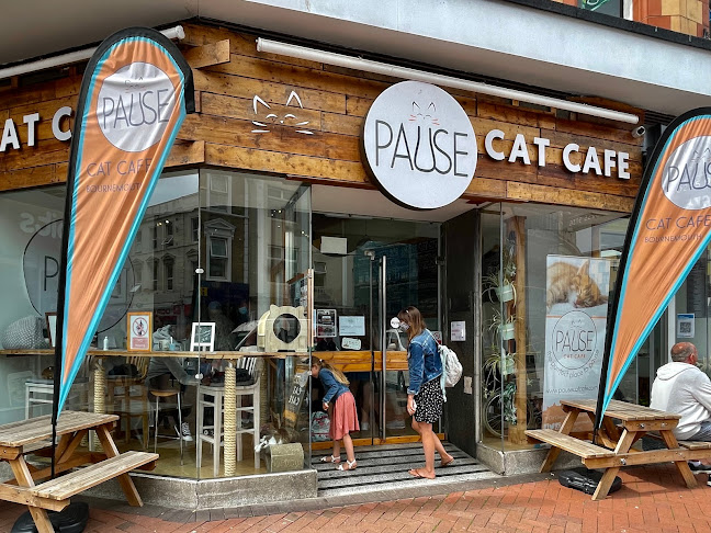 Pause Cat Café - Coffee shop