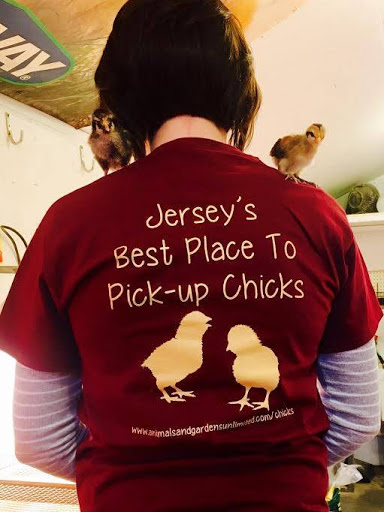 Garden Center «Animals and Gardens Unlimited», reviews and photos, 14 Jacobstown Rd, New Egypt, NJ 08533, USA