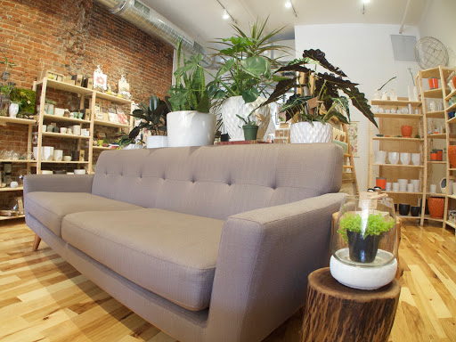 Gift Shop «Moss - Iowa City», reviews and photos, 112 E Washington St, Iowa City, IA 52240, USA