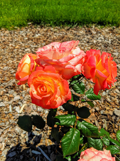 Community Center «NienhuisPark Community Center», reviews and photos, 3201 N 9th St, Broken Arrow, OK 74012, USA