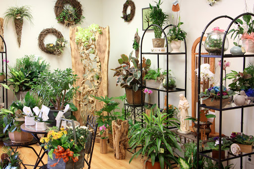 Florist «Bakanas Flowers And Gifts», reviews and photos, 27 N Maple Ave, Marlton, NJ 08053, USA