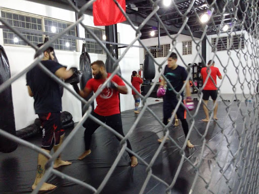 Clases de jiu jitsu en Monterrey