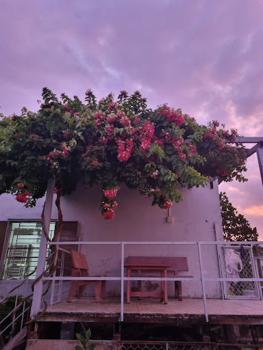 Tran Phu Riverside House