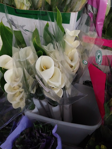 Florist «The Flower Place», reviews and photos, 860 NE 79th St, Miami, FL 33138, USA