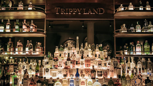 Trippy Land & Co
