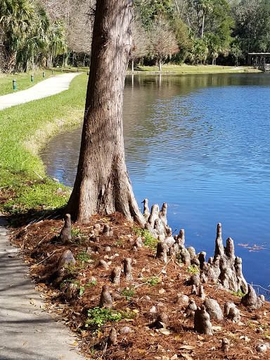 Bicycle Rental Service «Celebration Bike Rental», reviews and photos, 700 Bloom St, Celebration, FL 34747, USA