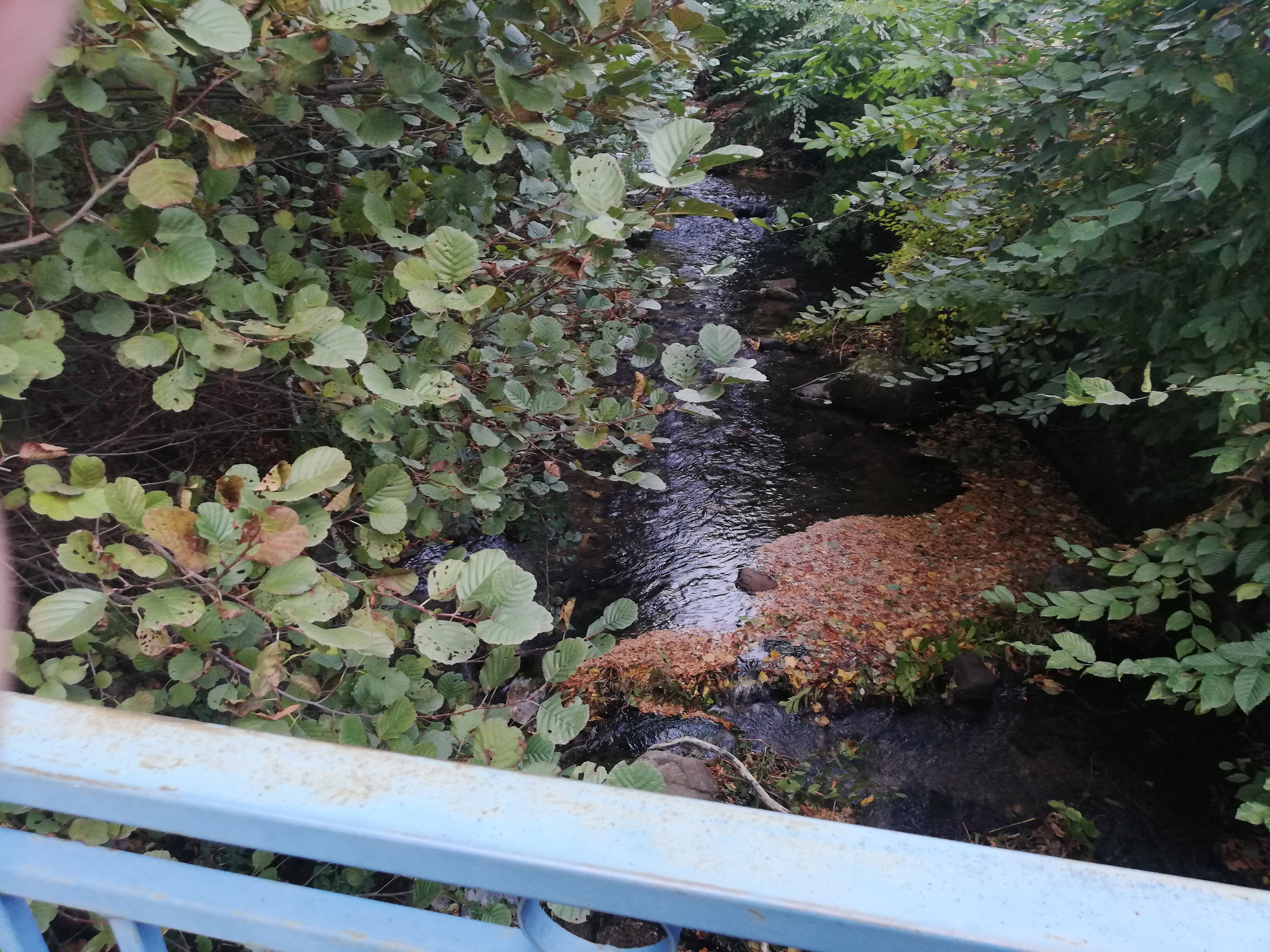 Photo n° 3 de l'avis de Noëlle. fait le 17/10/2018 à 22:05