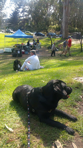 Disc Golf Course «Golden Gate Park Disc Golf Course», reviews and photos, 99 Marx Meadow Dr, San Francisco, CA 94121, USA