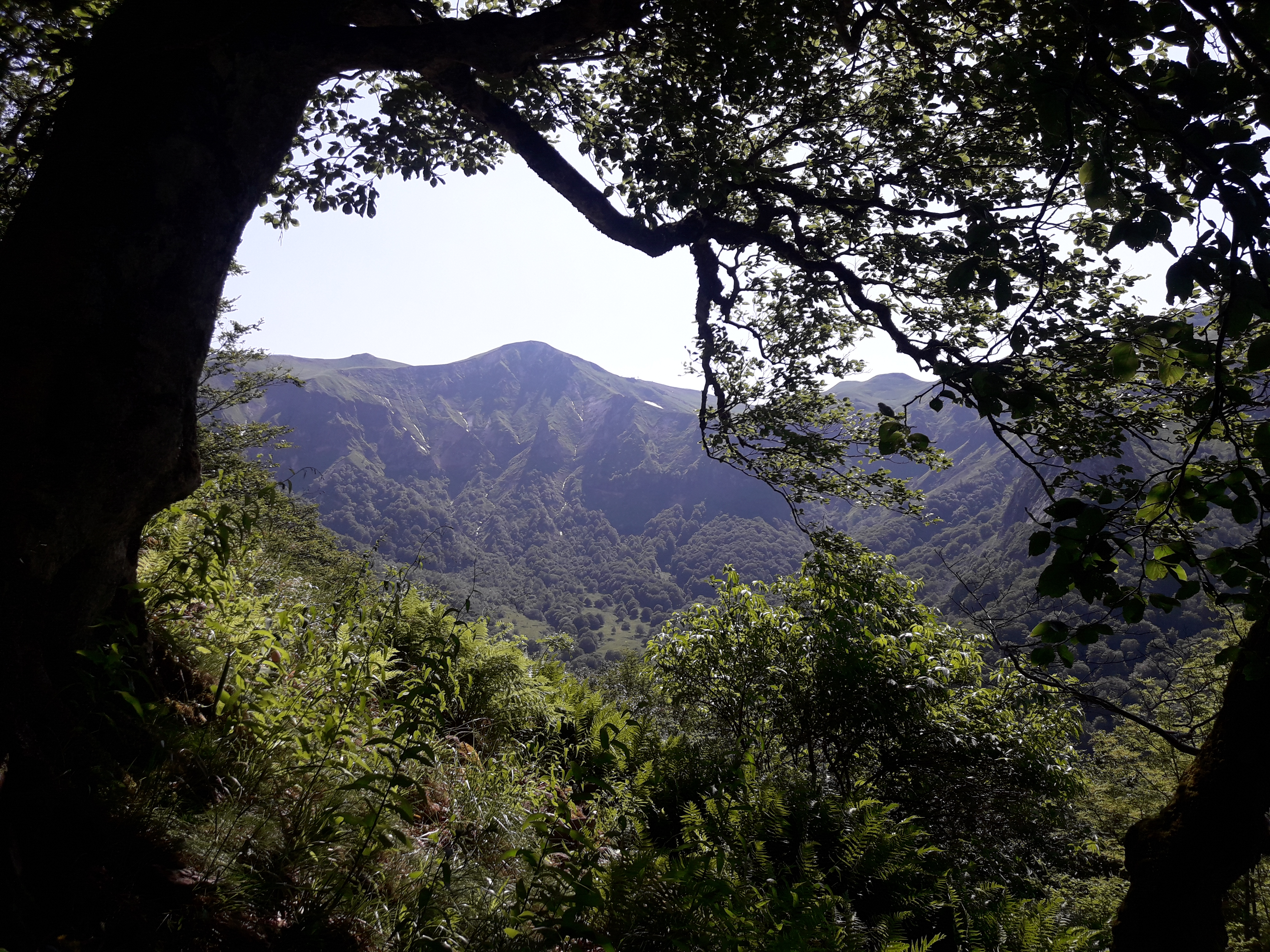 Photo n° 1 de l'avis de Alain.a fait le 08/07/2019 à 18:40