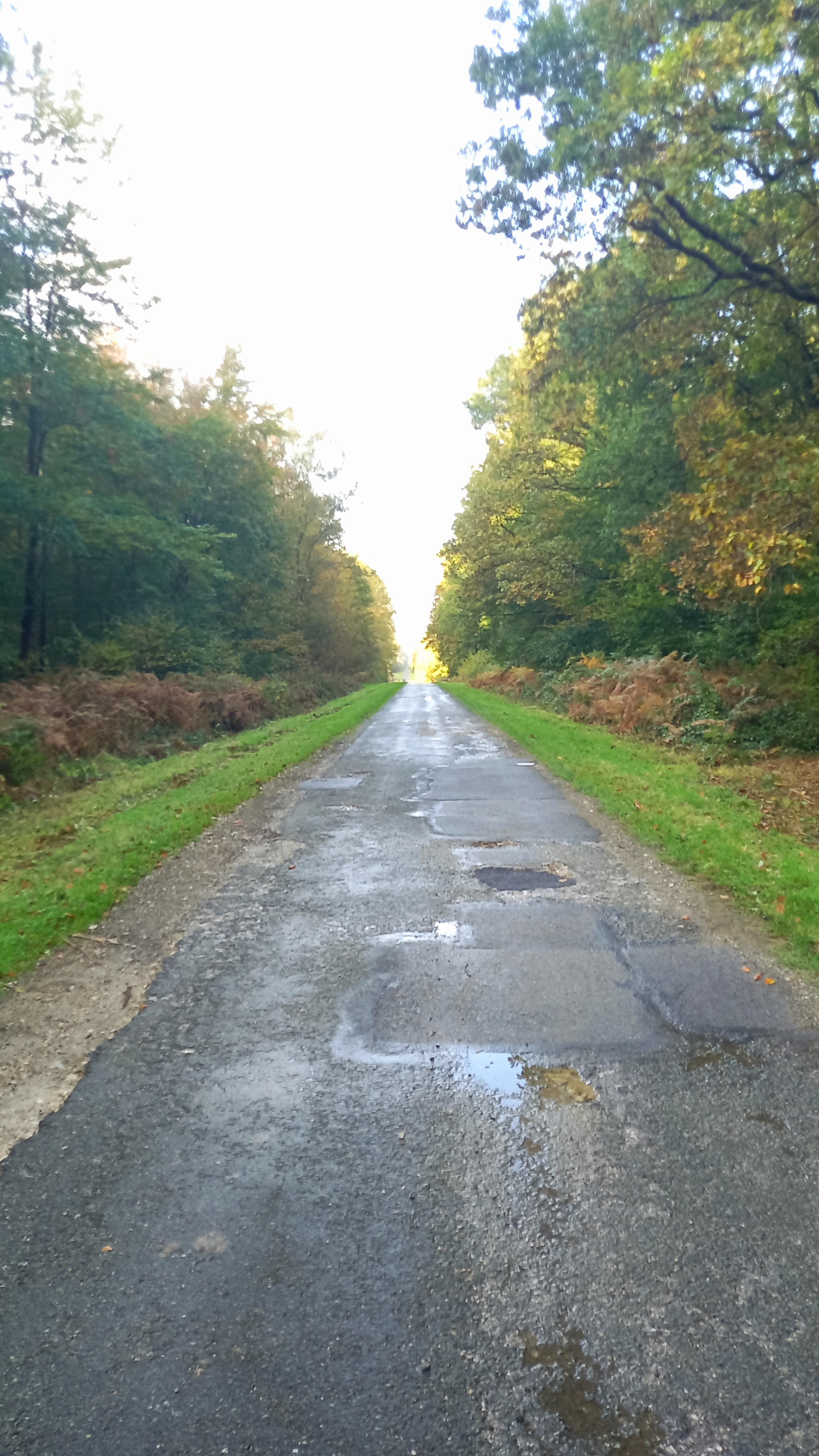 Photo n° 3 de l'avis de schneider.e fait le 27/10/2021 à 06:07
