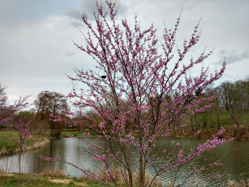 Park «Cherokee Park», reviews and photos, 745 Cochran Hill Rd, Louisville, KY 40206, USA