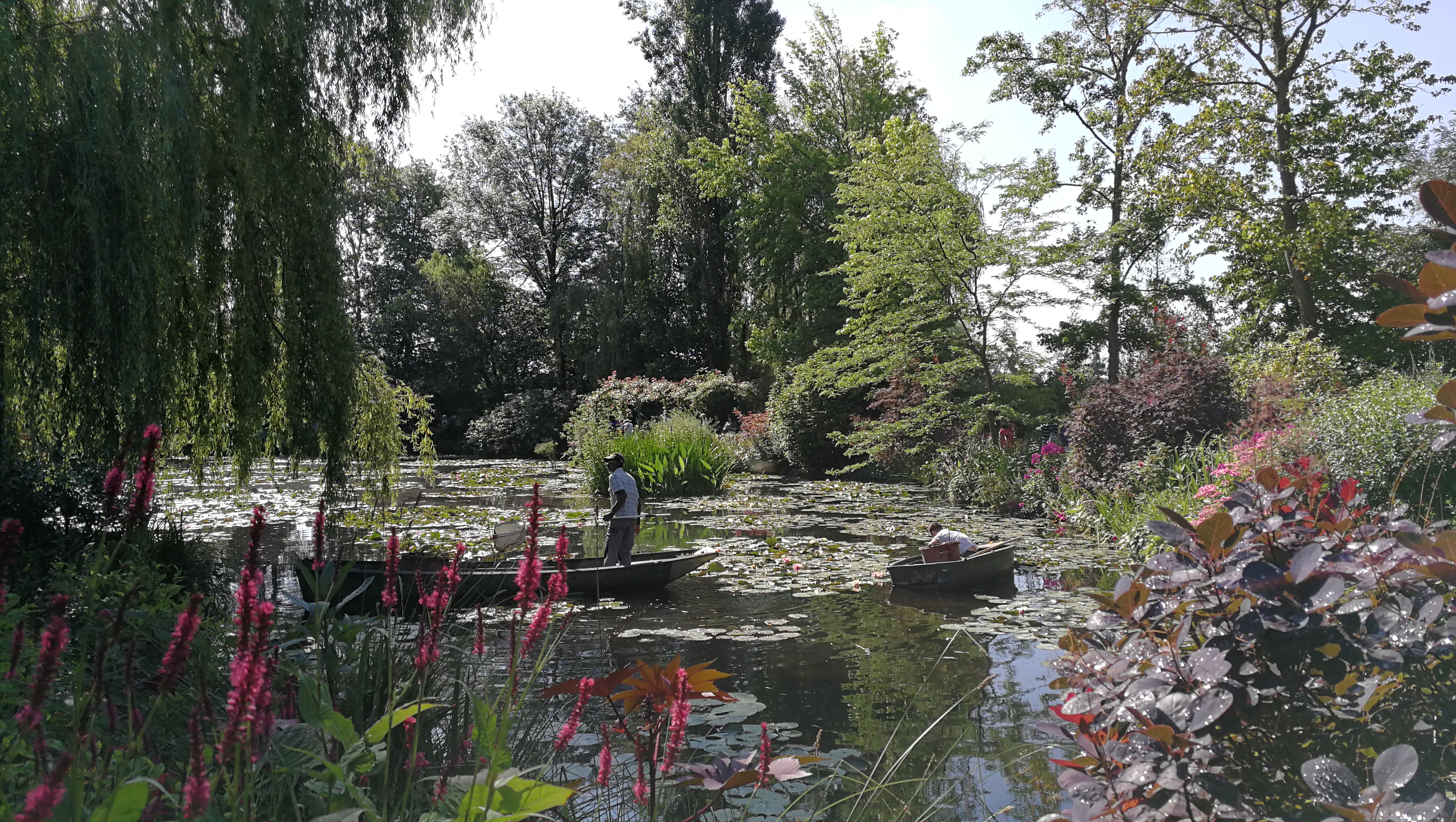 Photo n° 19 de l'avis de barbe.e fait le 10/07/2018 à 17:25